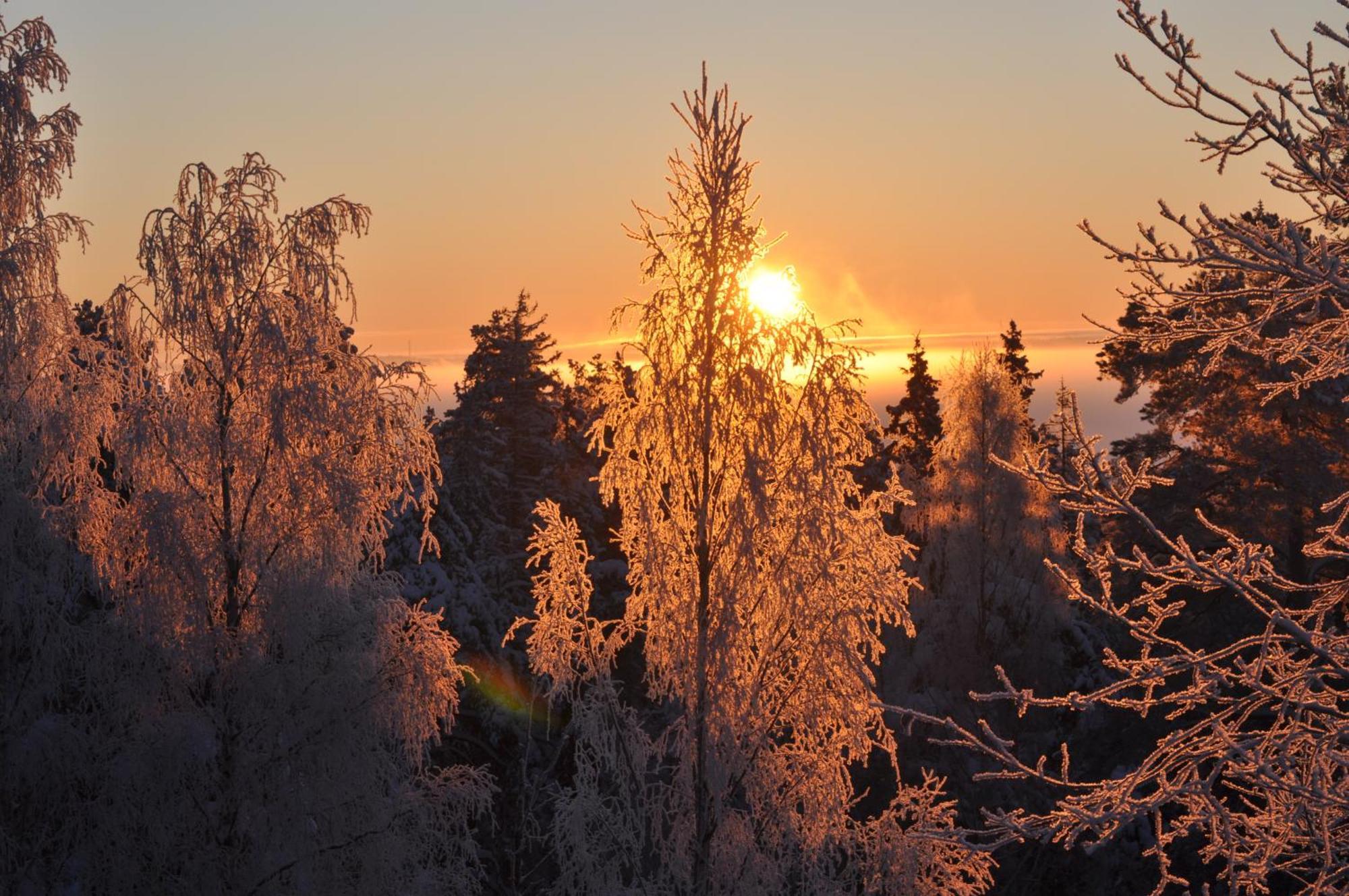 Vaihmalan Hovi Hotel Lempäälä Bagian luar foto